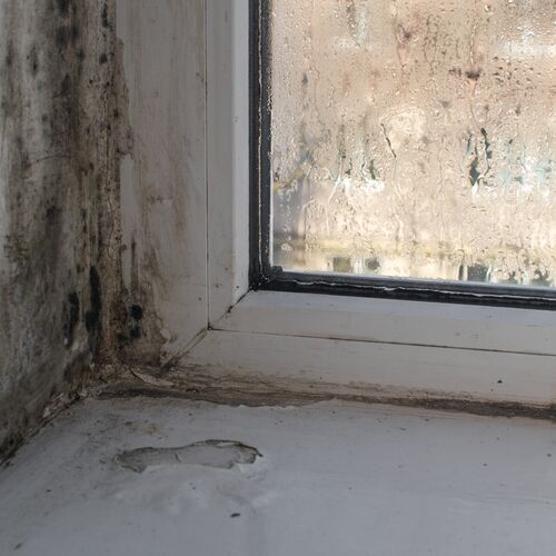 A damp and mouldy windowsill